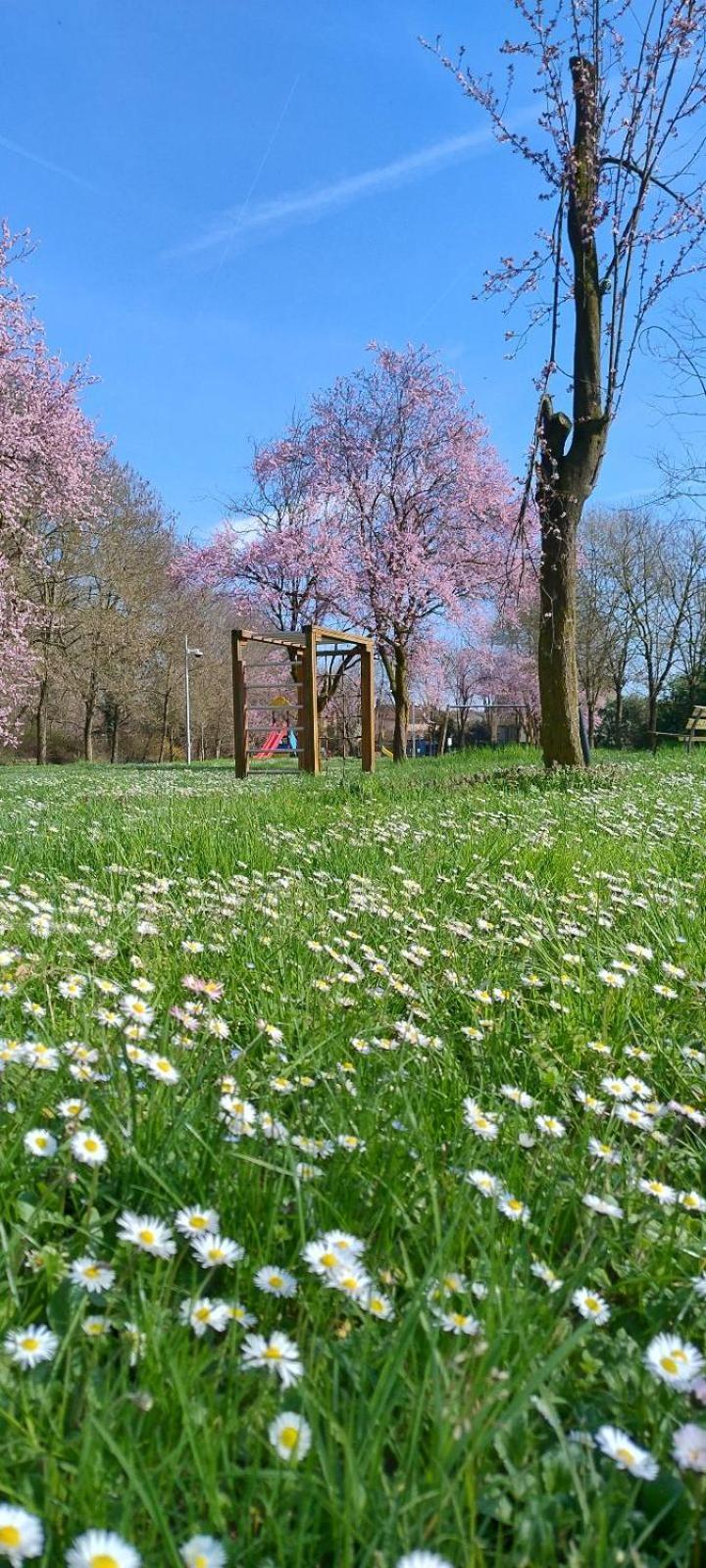 Shanti Ca' Casa Indipendente Con Giardino Lacchiarella 외부 사진