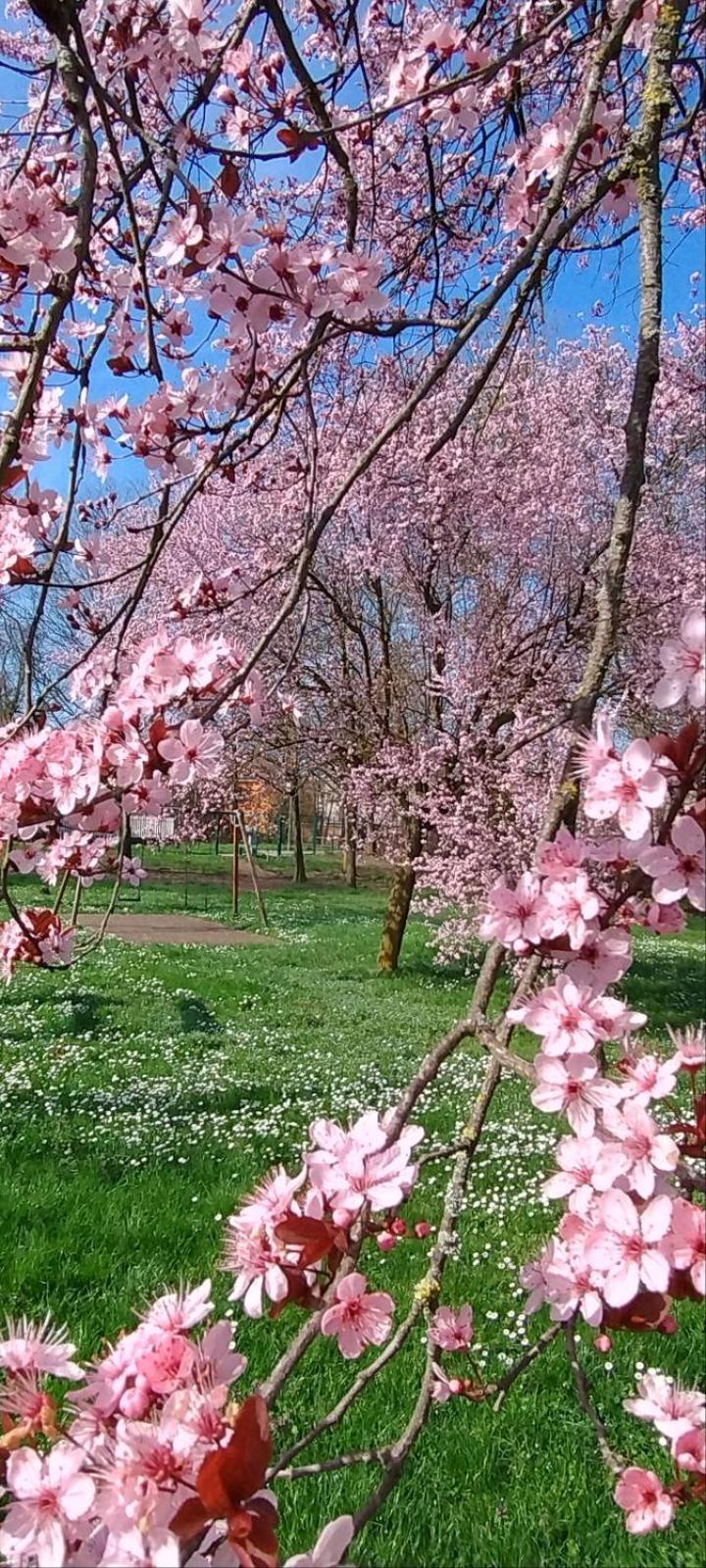 Shanti Ca' Casa Indipendente Con Giardino Lacchiarella 외부 사진