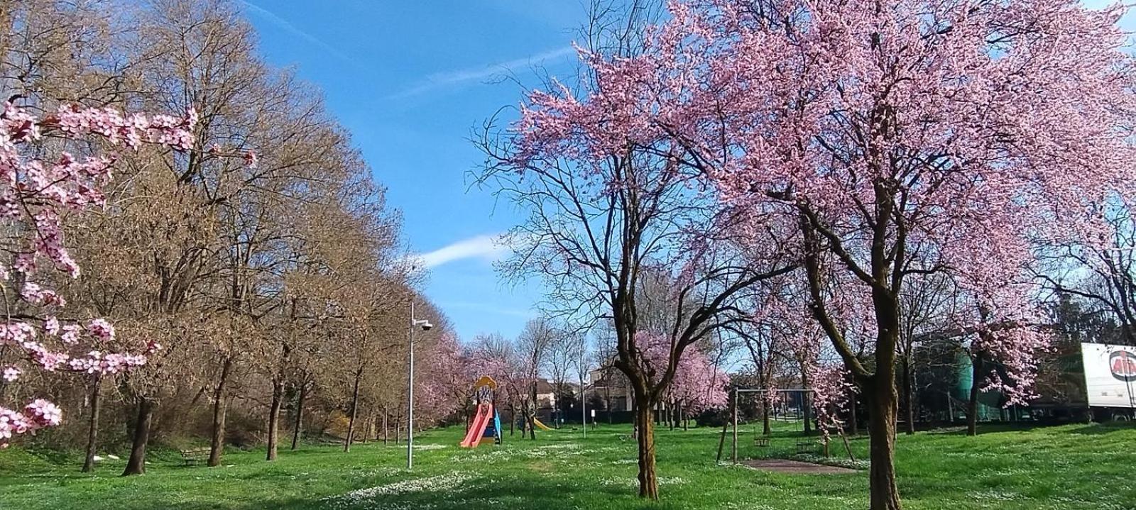 Shanti Ca' Casa Indipendente Con Giardino Lacchiarella 외부 사진